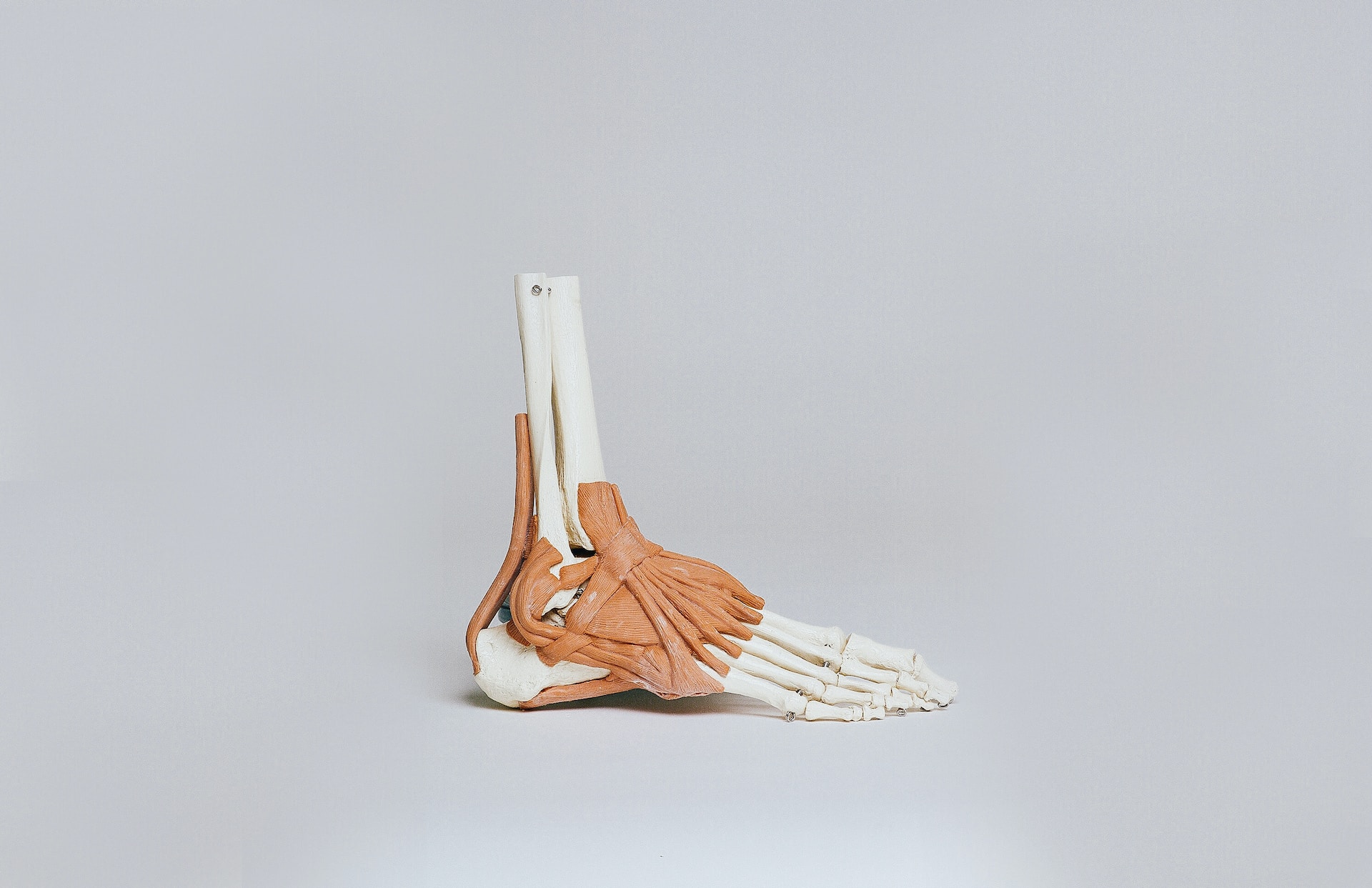 chiropractor niagara falls